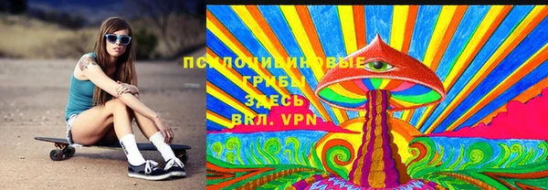 спайс Новодвинск